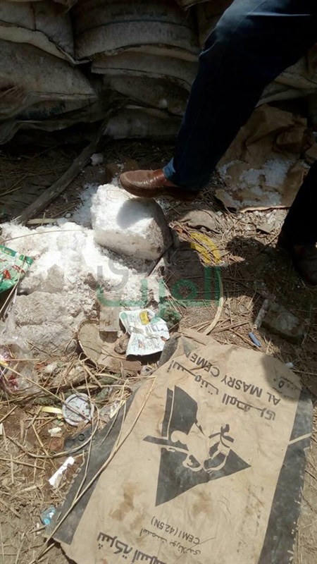 التحفظ علي ١٠٦٥ شيكارة ملح فاسد وجبنة بـ"الحشرات" بمعمل ألبان في كفر الشيخ