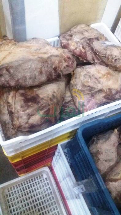 تشديد الرقابة على مستودعات الغاز والمخابز والأسواق لضبط المخالفين بالشرقية