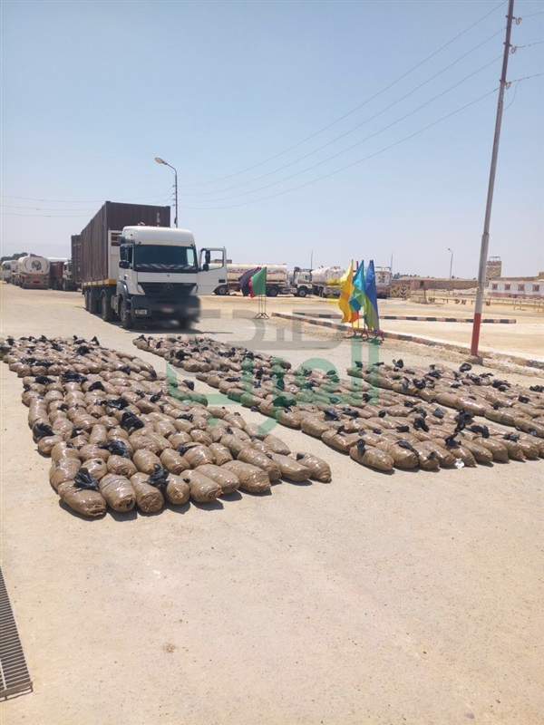 بالصور.. تصفية 3 تكفيريين وضبط طن بانجو بشمال سيناء