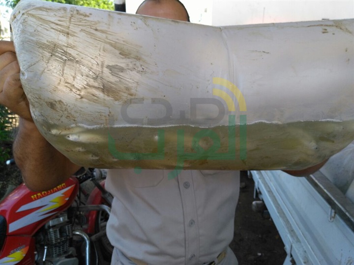 ضبط 10 آلاف وحدة ذريعة مسروقة و113 مخالفة على النيل بكفرالشيخ 