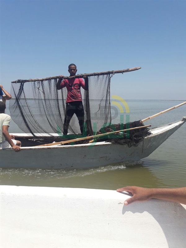 ضبط 10 آلاف وحدة ذريعة مسروقة و113 مخالفة على النيل بكفرالشيخ 