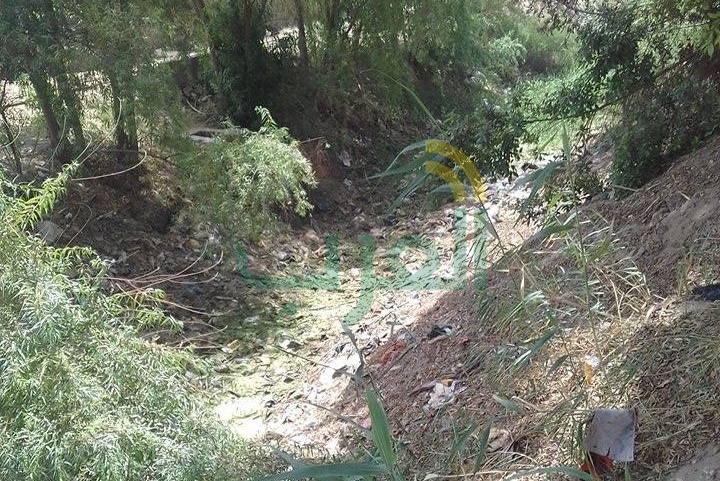 نقص مياه الري يحاصر المزارعين.. ويهدد بتلف المحاصيل في قنا نقص مياه الري يحاصر المزارعين.. ويهدد بتلف المحاصيل في قنا