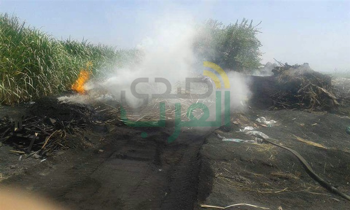 حملة لإزالة مكامير الفحم بأبو زعبل