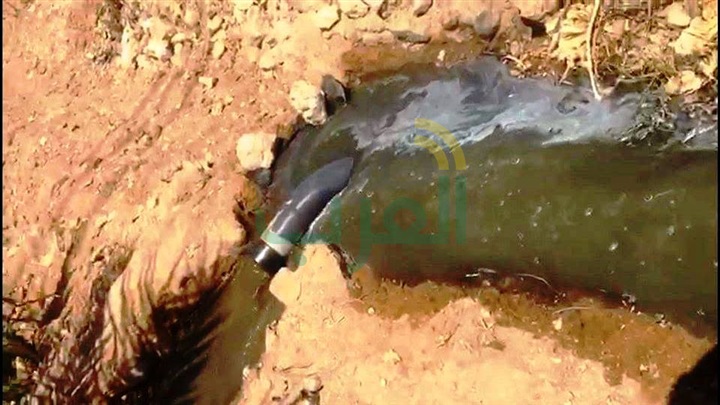بالصور.. احالة واقعة بمحاصيل  زراعية بسوهاج باستخدام مياه الصرف الصحى