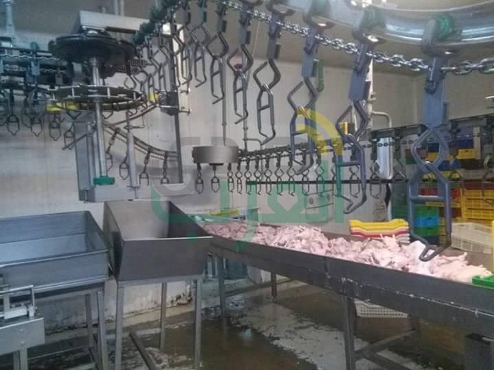 إعدام 265 كيلو لحوم دواجن فاسدة بشبين القناطر