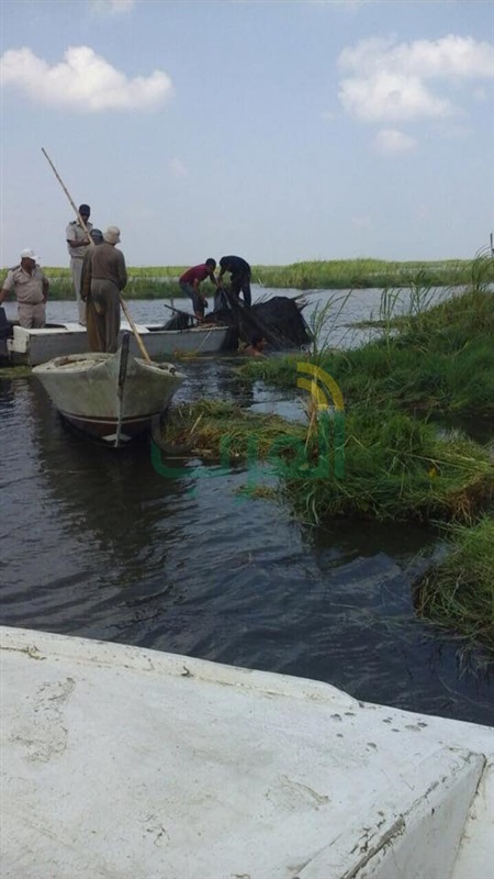 مديرا أمن كفر الشيخ والبحث الجنائي يقودان حملة لإزالة التعديات على بحيرة البرلس