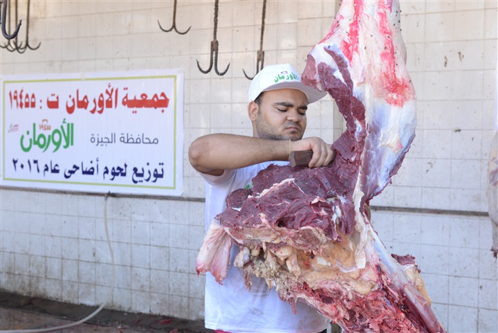 مليون كيلو لحوم أضاحى و600 عجل بلدى من "الأورمان" لغير القادرين