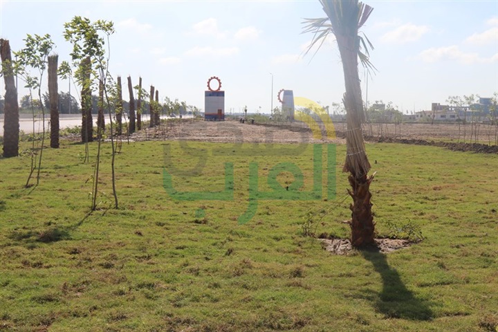 بالفيديو والصور..الانتهاء من اقامة البوابات الغربية بالدولى الساحلى بكفر الشيخ خلال أيام