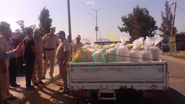 ‏بالصور.. ضبط سيارة بها 100 ألف وحدة زريعة أسماك بكفر الشيخ
