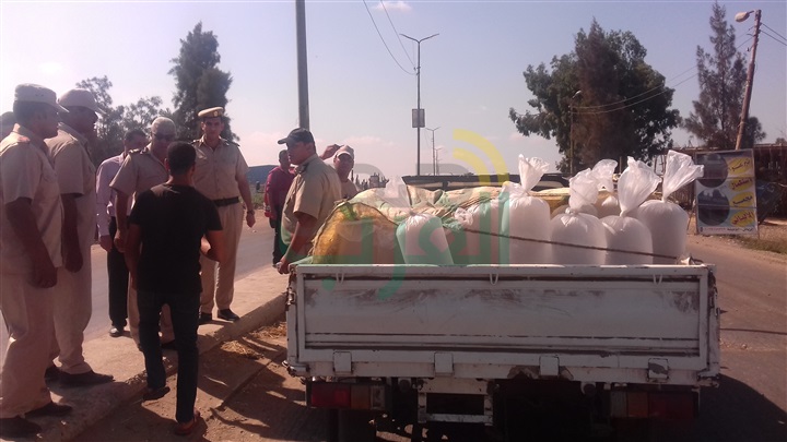 ‏بالصور.. ضبط سيارة بها 100 ألف وحدة زريعة أسماك بكفر الشيخ