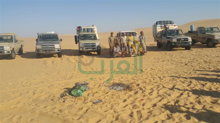 حرس الحدود تدمر 6 أفدنة مخدرات وتضبط كمية من الأسلحة خلال 16 يومًا
