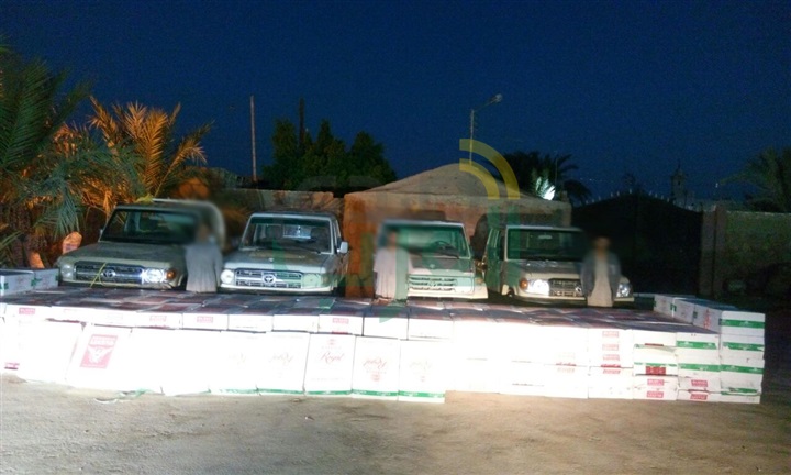 حرس الحدود تدمر 6 أفدنة مخدرات وتضبط كمية من الأسلحة خلال 16 يومًا