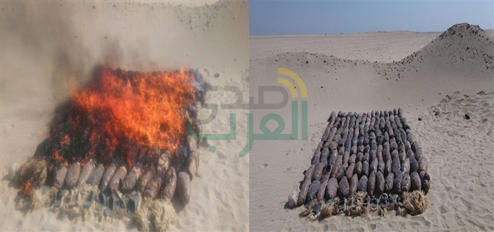 حرس الحدود تدمر 6 أفدنة مخدرات وتضبط كمية من الأسلحة خلال 16 يومًا
