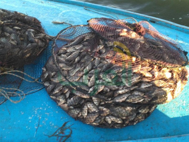 بالصور.. شرطة المسطحات تضبط 176 قضية متنوعة بكفر الشيخ