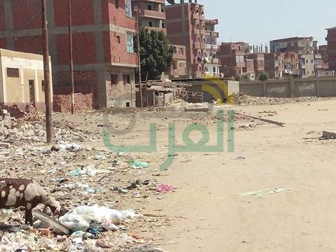 مركز شباب ببنها للحمير فقط.. ومدير الإدارة يدير من على الكافيه