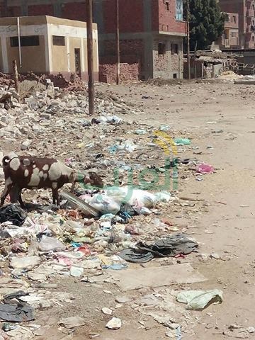 مركز شباب ببنها للحمير فقط.. ومدير الإدارة يدير من على الكافيه