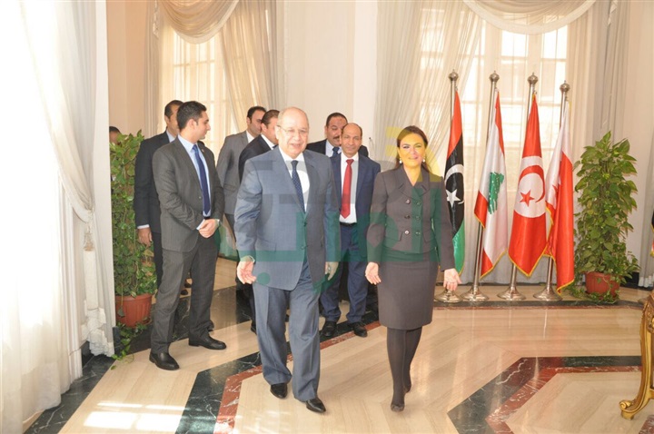 رئيس مجلس الدولة يستقبل وزيرة الاستثمار