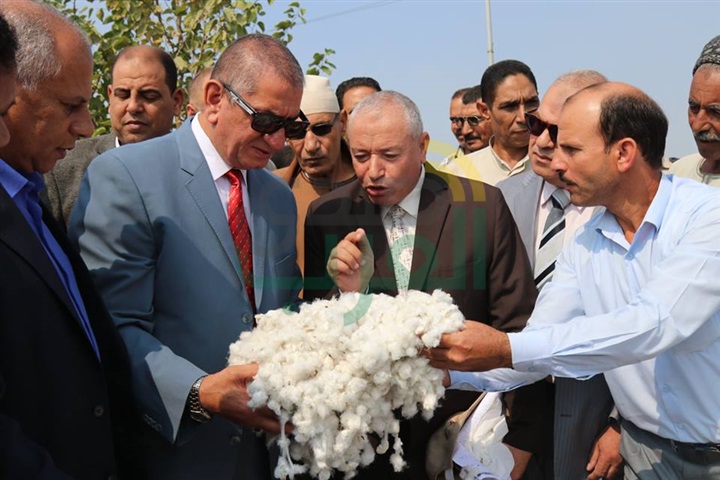 بالفيديو والصور.. السيد نصر يحظر نقل القطن خارج حدود كفر الشيخ منعًا للخلط