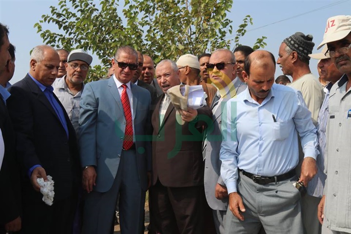 بالفيديو والصور.. السيد نصر يحظر نقل القطن خارج حدود كفر الشيخ منعًا للخلط