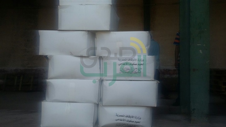 أوقاف الإسكندرية تطلق قافلة لتوزيع لحوم الأضاحى بالأماكن الأكثر احتياجا "