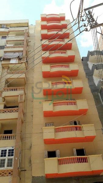 بالصور..محافظ  البحيره تتفقد موقع العقار الذى حدث له هبوط ارضى بدمنهور