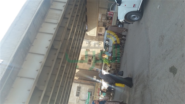 بالصور.. "الخرفان" تغزو كوبرى بنها وتعيق حركة المرور