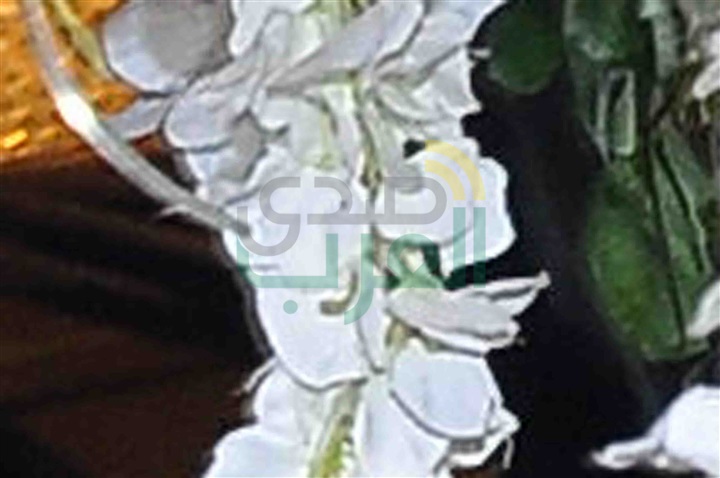 بالصور.. جنات ورامي جمال ودياب يشعلون زفاف "تامر عاشور" بالصور.. جنات ورامي جمال ودياب يشعلون زفاف "تامر عاشور"