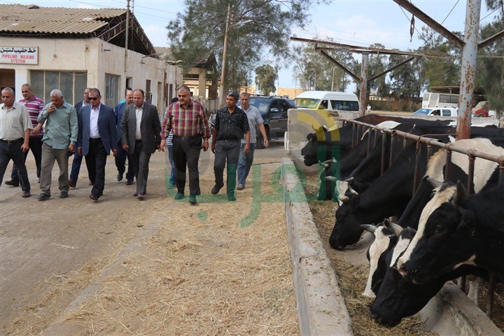 بالصور.. محافظ كفر الشيخ يتفقد أكبر محطة للانتاج الحيوانى في الشرق الأوسط