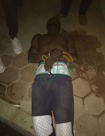 تحقيقات موسعة في واقعة "دراكولا" القاهرة الجديدة