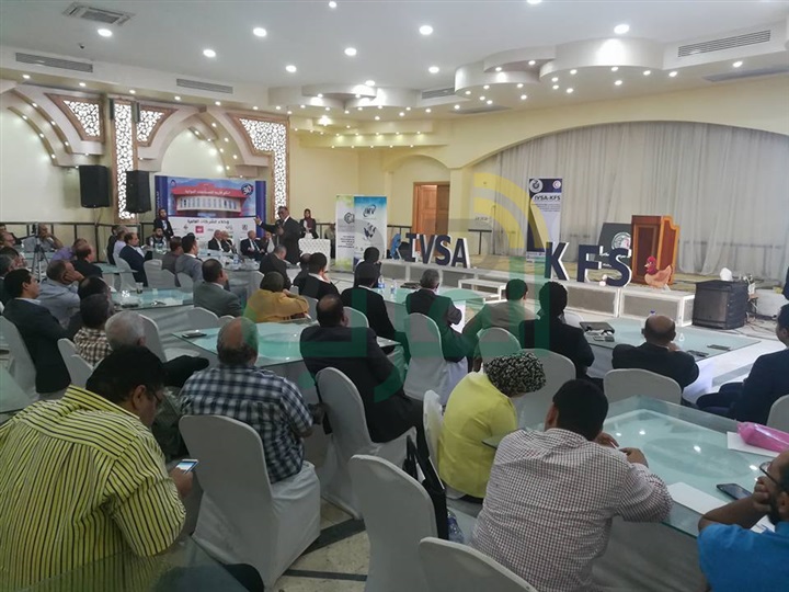  بالصور.. أمراض الأسماك والدواجن وطرق علاجها في مؤتمر علمي بكفر الشيخ