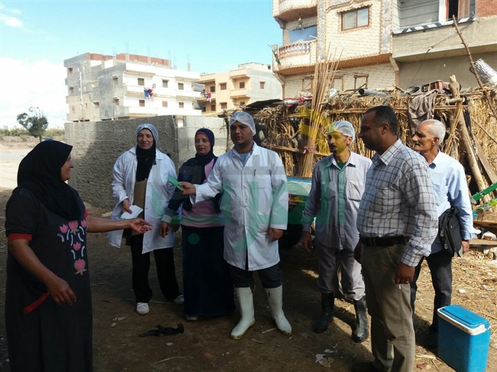 حملة قومية لتحصين الماشية للحفاظ على الثروة الحيوانية بالأسكندرية