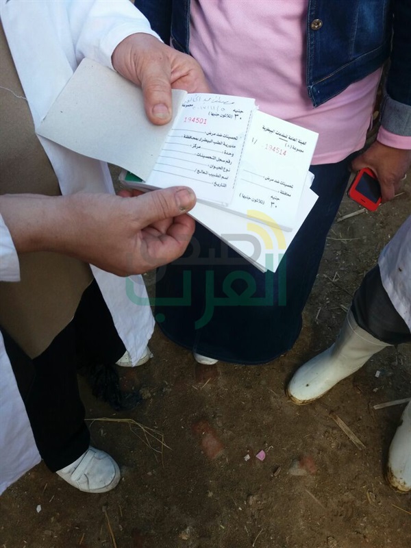 حملة قومية لتحصين الماشية للحفاظ على الثروة الحيوانية بالأسكندرية