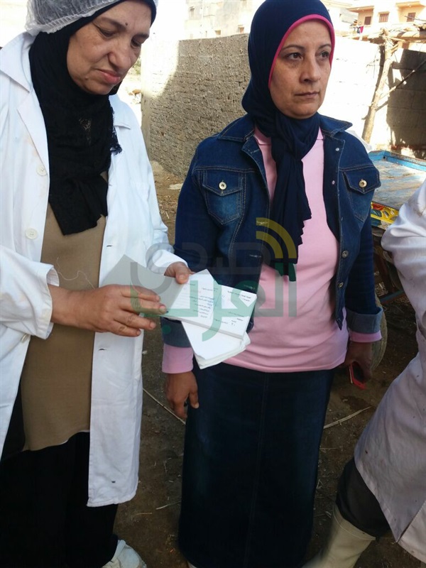 حملة قومية لتحصين الماشية للحفاظ على الثروة الحيوانية بالأسكندرية