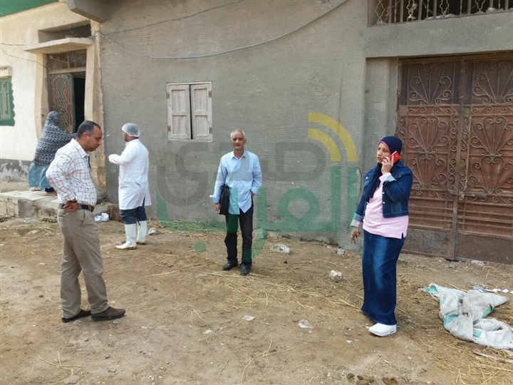 حملة قومية لتحصين الماشية للحفاظ على الثروة الحيوانية بالأسكندرية