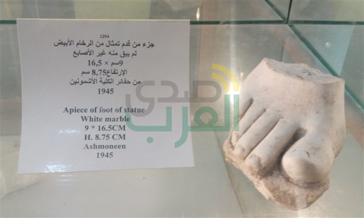 عميد أداب الاسكندرية تستقبل وفدًا من جمهورية الصين لزيارة متاحف الكلية
