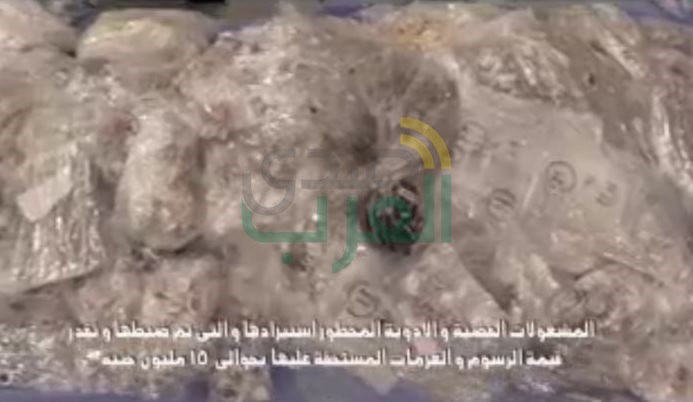 بالصور.. القبض على المتهمين بتهريب نصف طن فضة وأدوية محظورة‬
