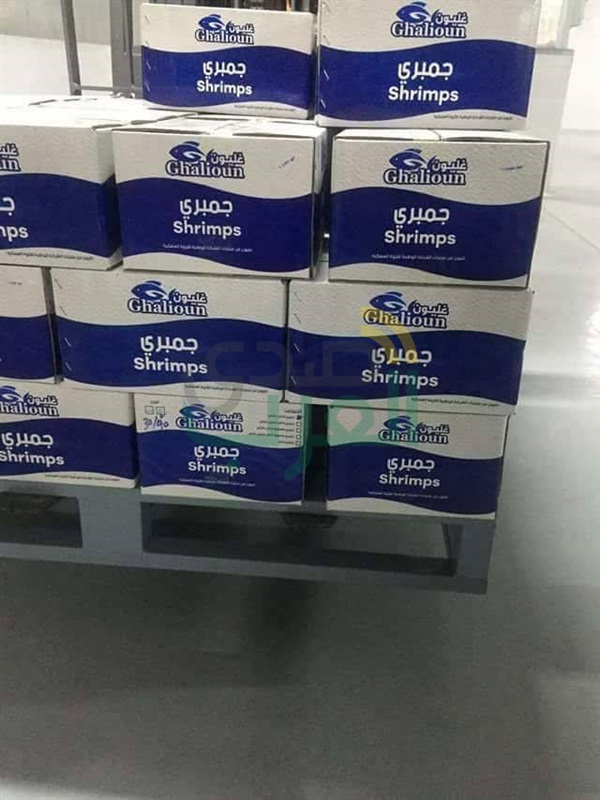 غدًا.. السيسي يفتتح مشاريع خدمية وتنموية بكفر الشيخ 