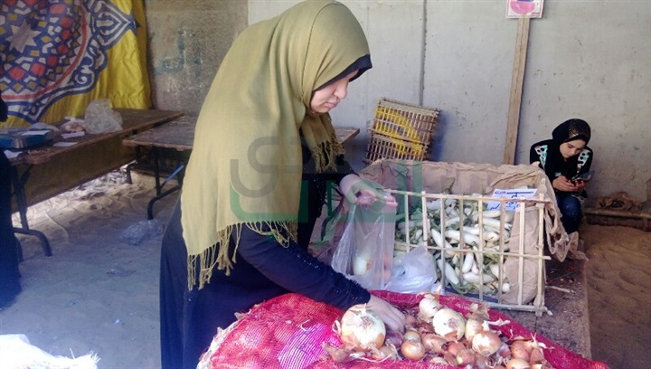 انطلاق مبادرة "شباب ضد الغلاء" ببنها 