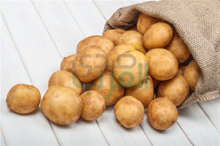 أسرار صناعة المنتجات الغذائية الطازجة من الخبراء الفرنسيين في خلال معرض عالم المواد سريعة التلف WOP 2017 