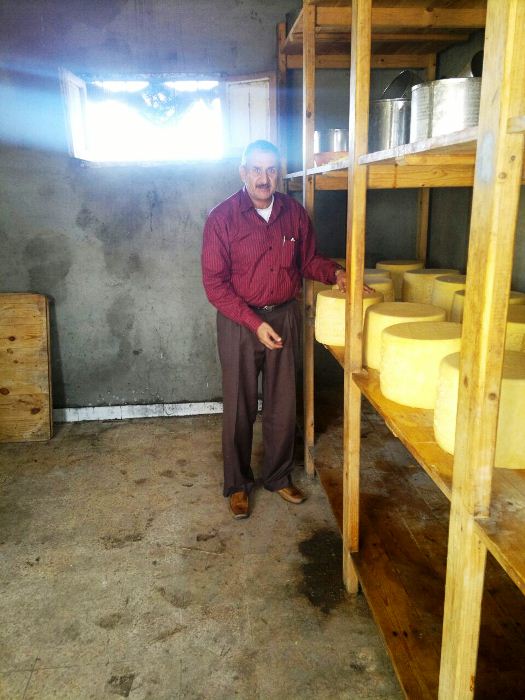 ضبط 9 طن ملح مجهول المصدر داخل معمل لإنتاج الجبن بمدينة صان الحجر