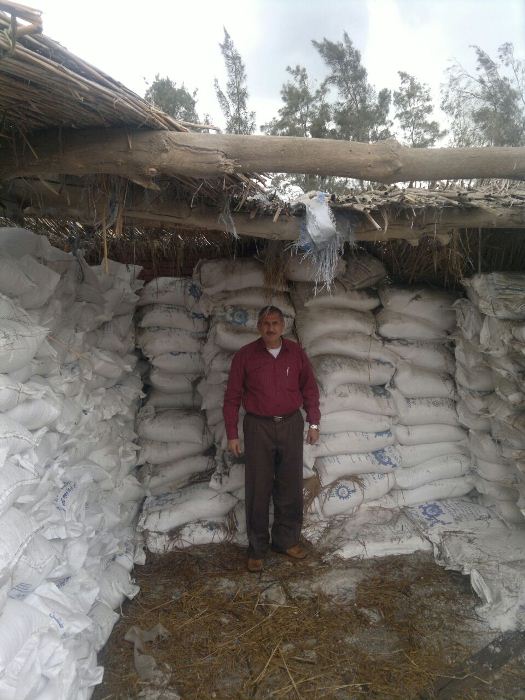 ضبط 9 طن ملح مجهول المصدر داخل معمل لإنتاج الجبن بمدينة صان الحجر