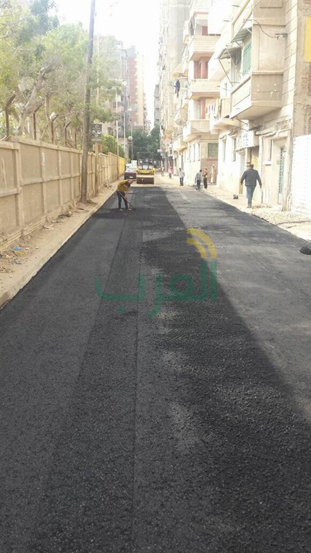 نشاط مكثف لحي المنتزة أول بالاسكندرية لتطبيق القانون والتصدي للمخالفين