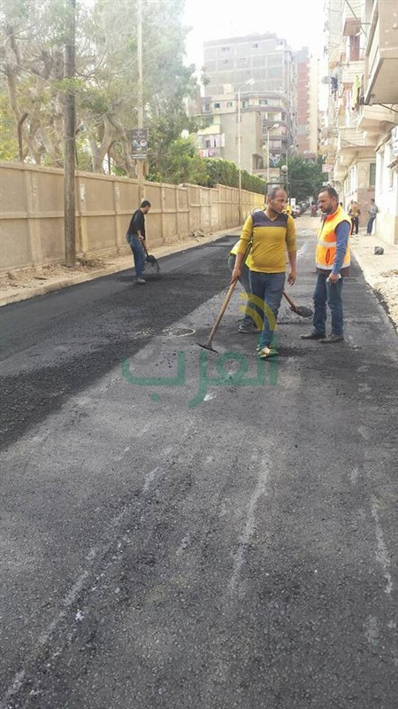نشاط مكثف لحي المنتزة أول بالاسكندرية لتطبيق القانون والتصدي للمخالفين