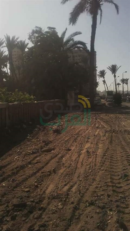 رفع نواتج إزالة البناءات والتعديات المخالفة بمنطقة طابا بأبي قير بنطاق المنتزه ثان