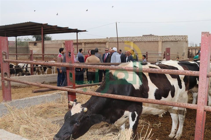 محافظ كفر الشيخ يتفقد الشركة الوطنية للأنتاج الحيوانى والأمن الغذائي