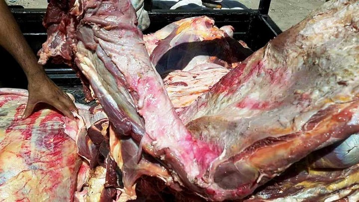 تحرير 137 قضية تموينية خلال يومين بأسيوط 