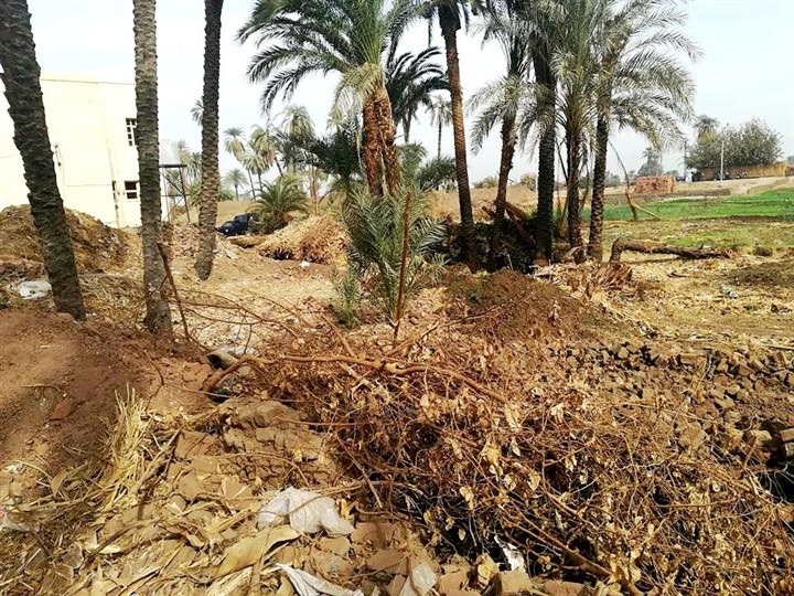 إقامة معهد ديني على مساحة 4545 متر أملاك دولة بسوهاج 