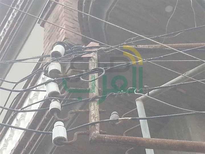 بالصور.. نفوق الحيوانات يكشف إهمال مسؤولي الكهرباء بكفر الشيخ