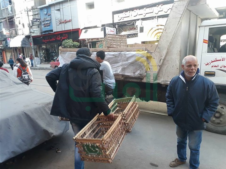  حملة إزالة مكبرة بشارع محرم بك والرصافة