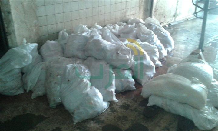 ضبط 9 طن دجاج غير صالحة للاستهلاك الآدمى بالخانكة